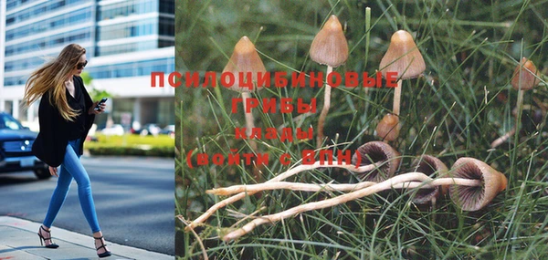 MDMA Premium VHQ Краснотурьинск