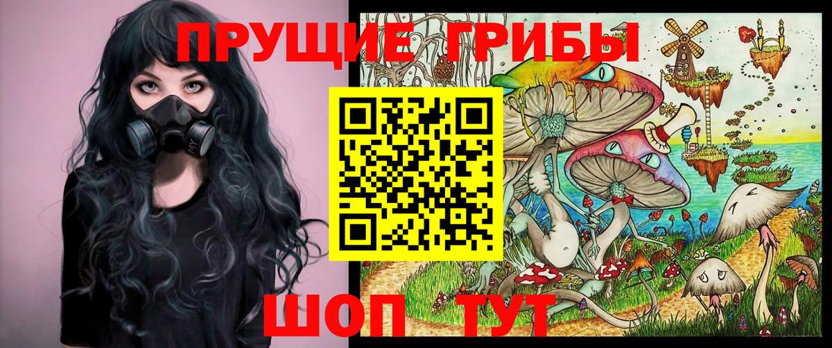 Смоленск  Псилоцибиновые грибы GOLDEN TEACHER  Вход с VPN 